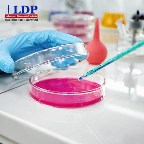 Types of Petri Dishes and Their Applications in Modern Laboratories