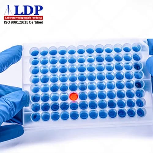 Maximizing Efficiency in Laboratory Experiments with Well Plates