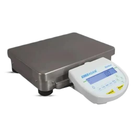 Precision Balance