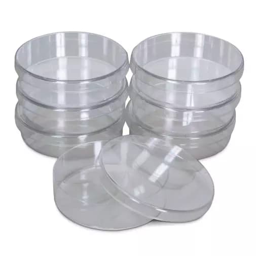 Petri Dishes