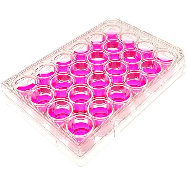 Well Cell Culture Plate