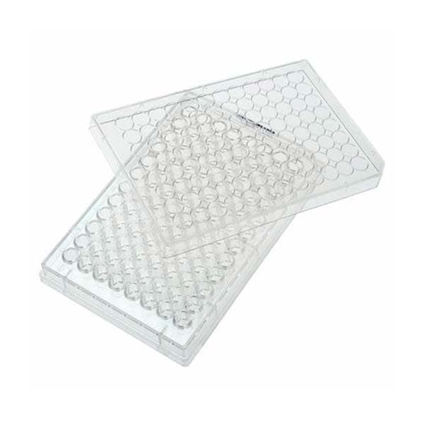 Well Plates