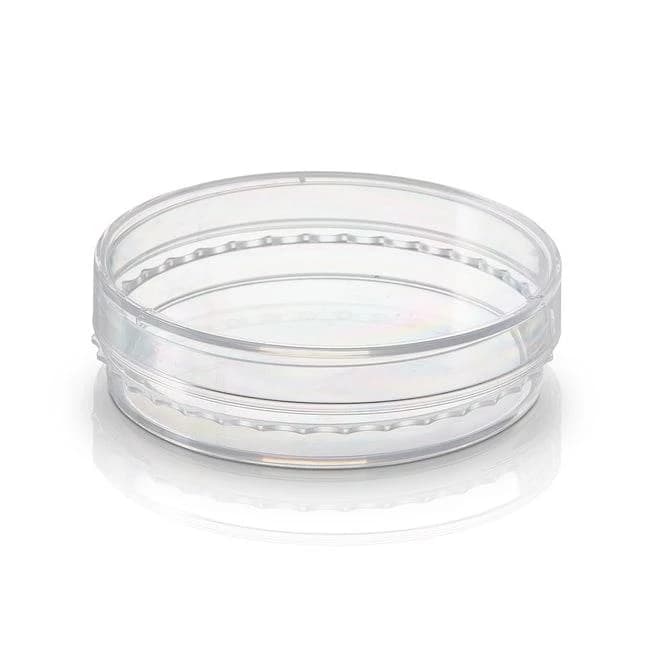 BioLite 150mm TC Dish