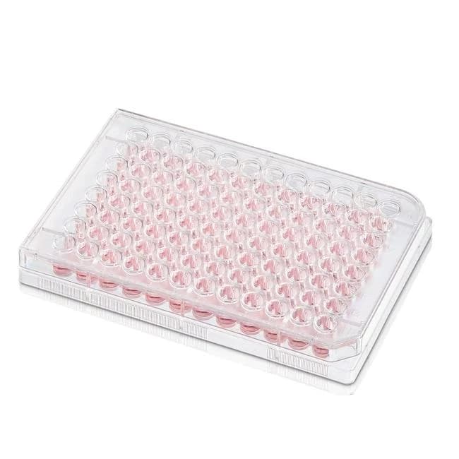 BioLite 6 Well Multidish
