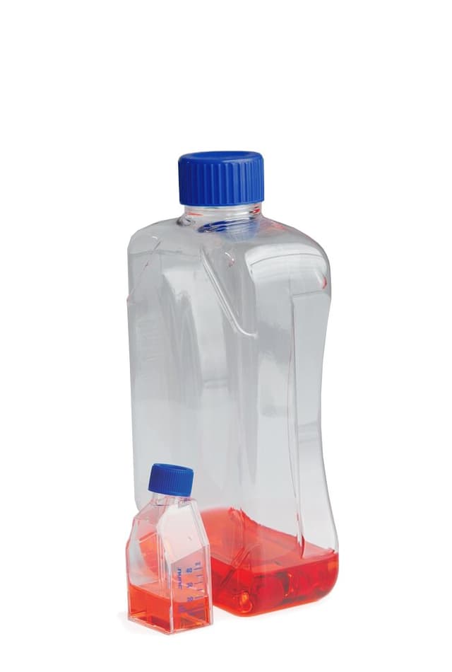 Flask, 300CM² TC,PS, STR Neck