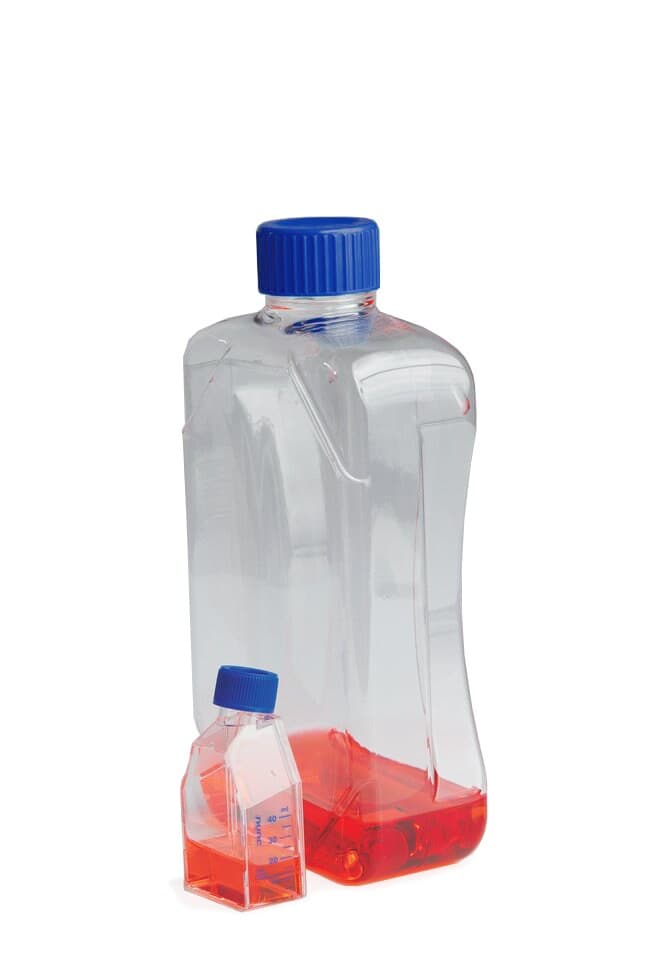 Flask, 300CM² TC,PS, STR Neck Vent