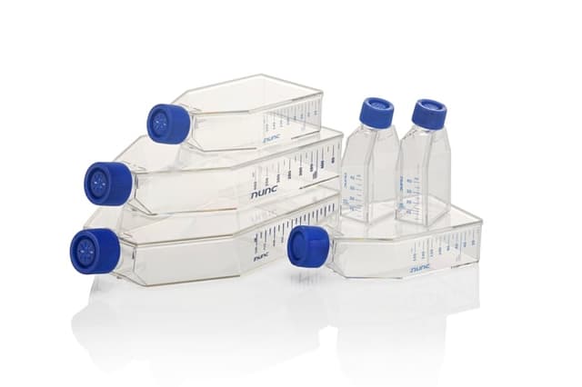EasY Flask 25cm2 Collagen I Filter Cap
