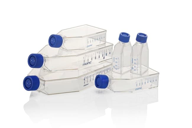 EasY Flask 25cm2 Collagen I Filter Cap