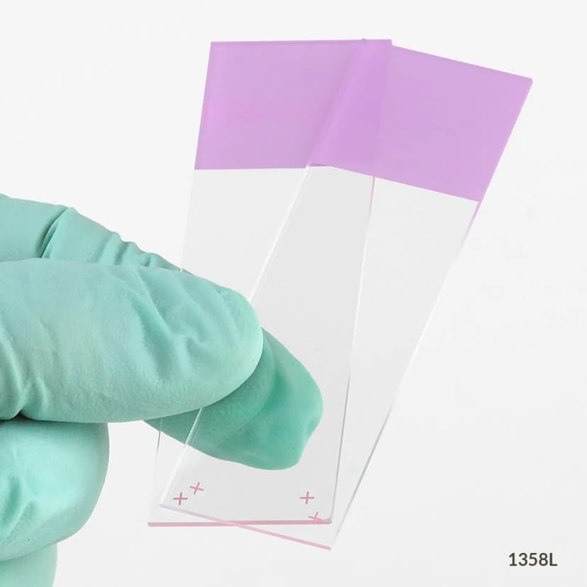 Microscope Slides, Diamond White Glass, 25 x 75mm, Charged, 90° Ground Edges, Lilac Frosted, 72/Box, 20 Boxes/Case (10 Gross)