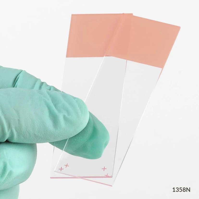 Microscope Slides, Diamond White Glass, 25 x 75mm, Charged, 90° Ground Edges, Orange Frosted, 72/Box