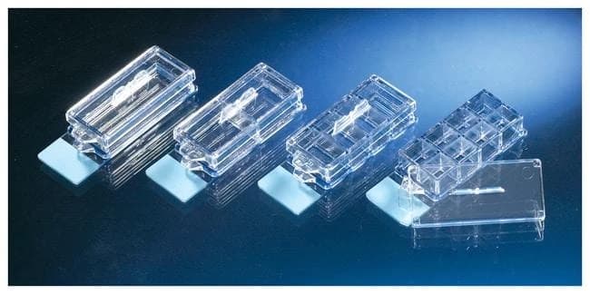 Lab-Tek II CC2 Chamber Slide w/Lid Glass Slide Sterile PS 4 Well