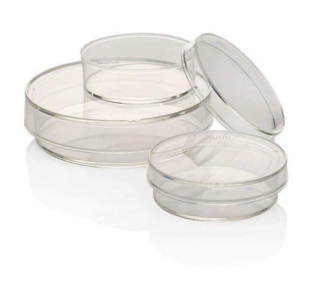 UpCell 35mm TC Dish
