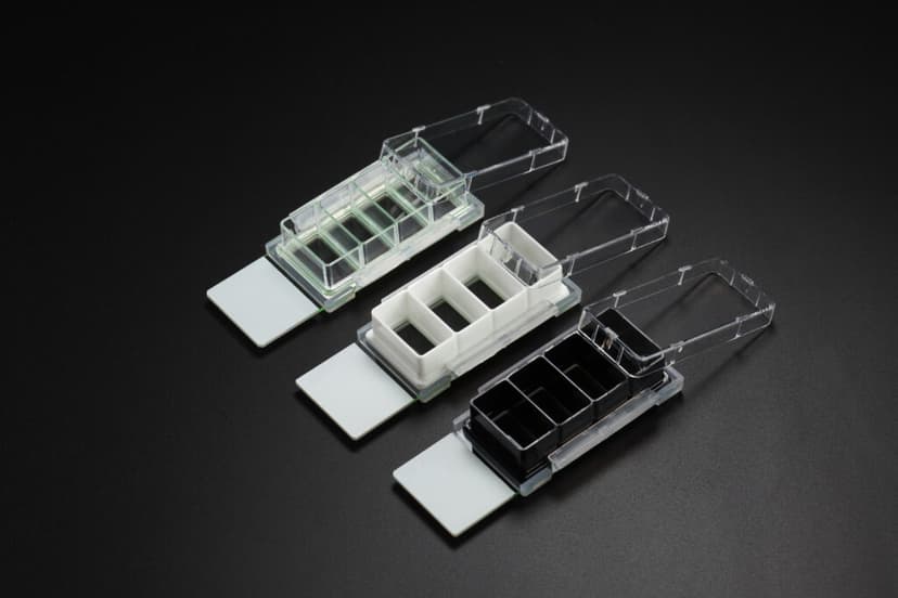 Nest Cell Culture Chamber Slides, 2 well w/glass slide, Black, 4.55 cm2,