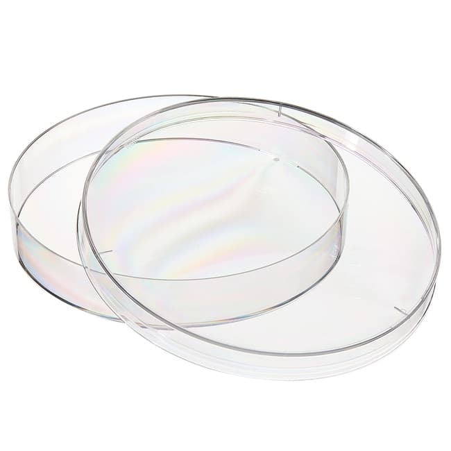 Petri Dish w/Lid Sterile PS 100 x 15 mm