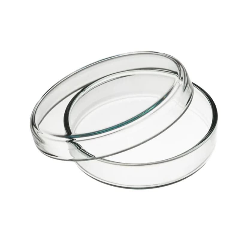 Petri Dishes Polystyrene Stackable Mono Plate,60x15mm