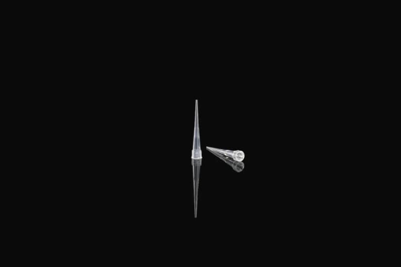 1000µl Pipette Tips, Clear, Non-Sterile, Bulk, 1000/pk, 10000/cs