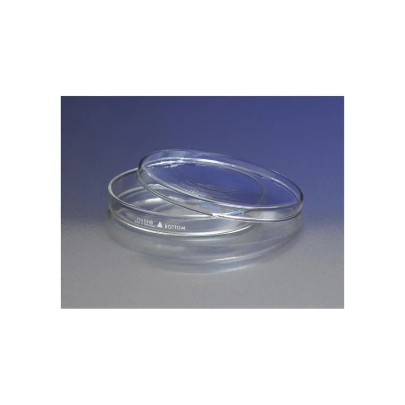 PYREX 100x10mm Petri Dish Cover Only
