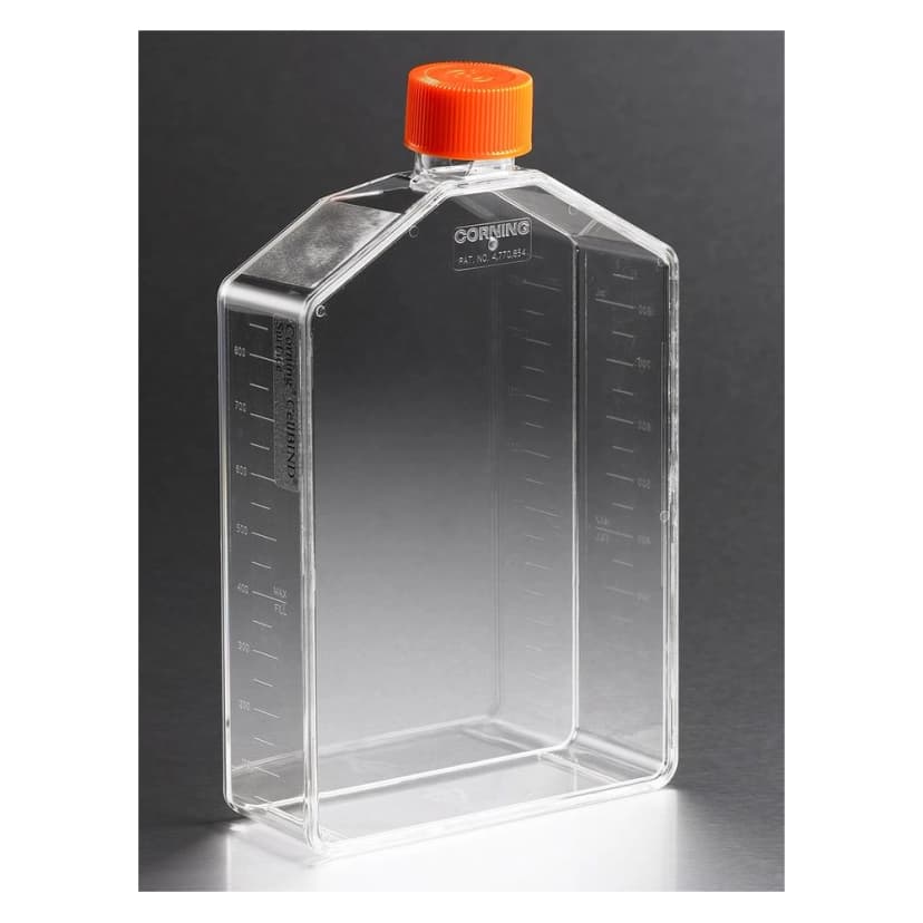 Corning CellBIND 225cm Canted Neck Cell Culture Flask with Vent Cap