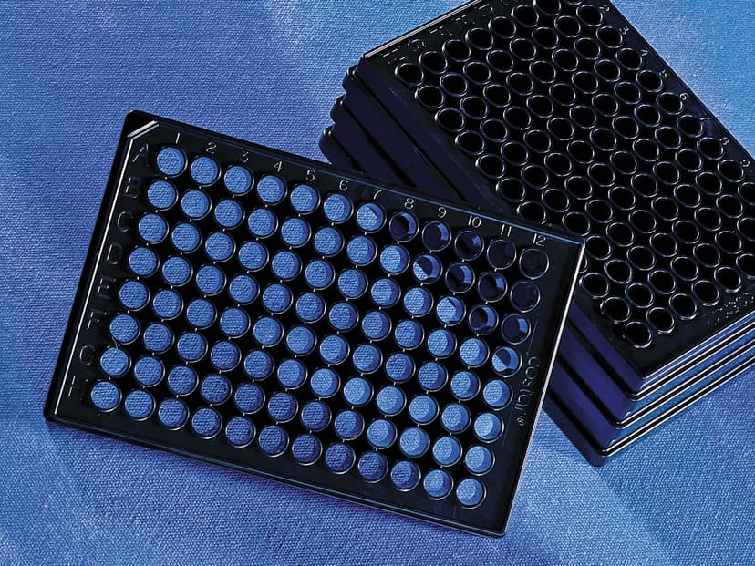 96-well Black/Clear Flat Bottom Microplate
  w/LE Lid, CellBIND Surface, Bar Coded
  Polystyrene, Nonpyrogenic