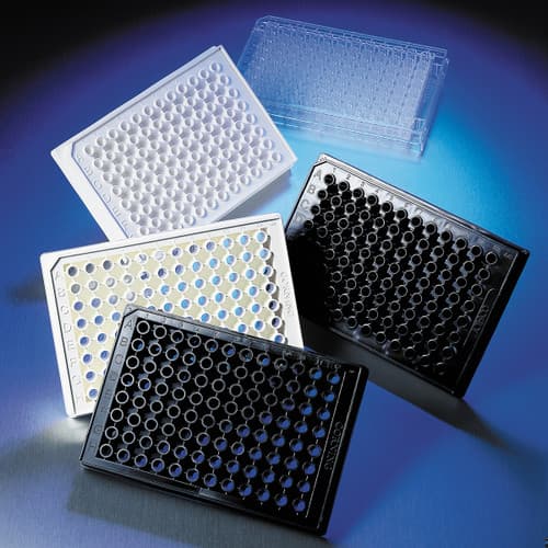Corning 96 Well Clear Flat Bottom Polypropylene Not Treated Microplate, 25 per Bag, without Lids, Nonsterile