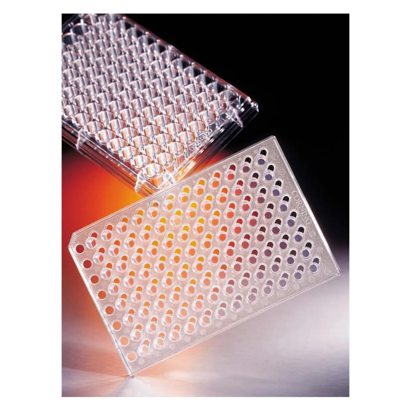 Corning HTS Transwell-96 Permeable Support with 8.0m Pore Polyester (PET) Membrane, Sterile, 1/Pack, 2/Case