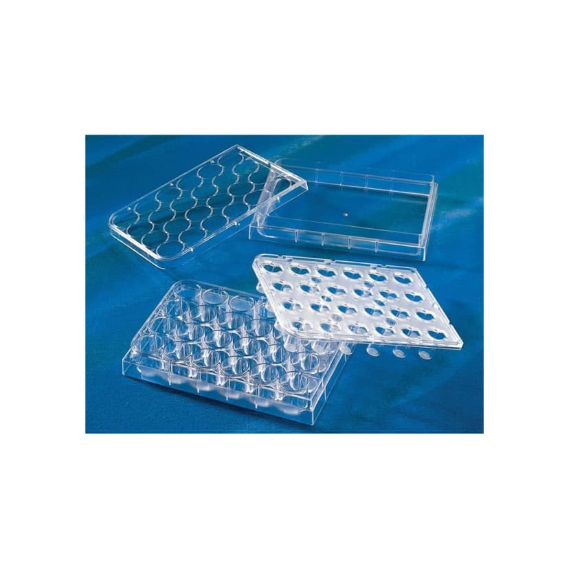 Costar HTS Transwell-24 Permeable Support with 0.4m Pore Polyester (PET) Membrane, Sterile, 1/Pack, 2/Case