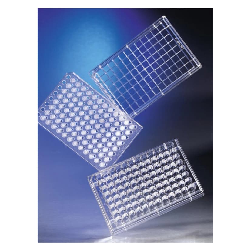 Corning HTS Transwell-96 Permeable Support System with 1.0m Pore Polyester (PET) Membrane, Sterile, 5/Pack, 5/Case