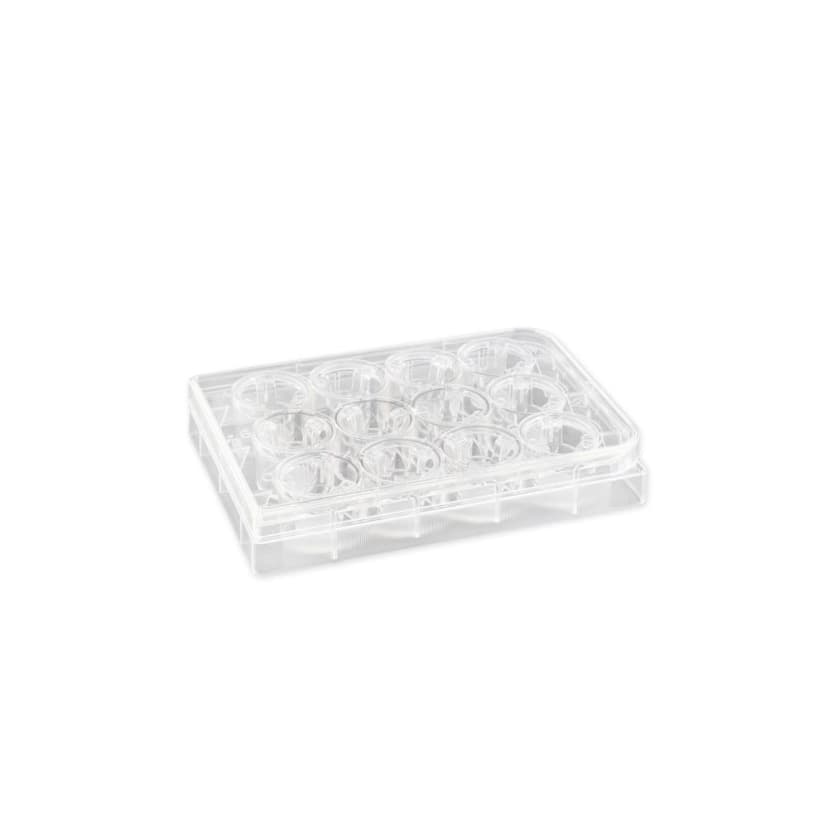 Costar 12mm Transwell Permeable Support with 3.0m Pore Polycarbonate (PC) Membrane, Sterile, 12/Pack, 48/Case