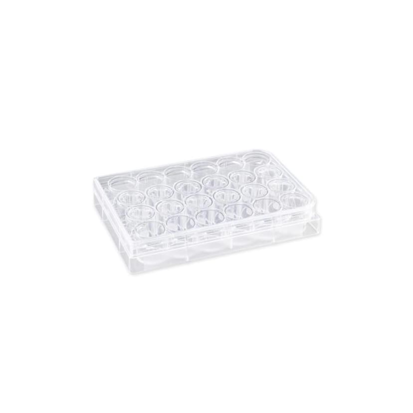 Costar 6.5mm Transwell Insert with 0.4m Pore Polycarbonate (PC) Membrane, Sterile, 12/Pack, 48/Case