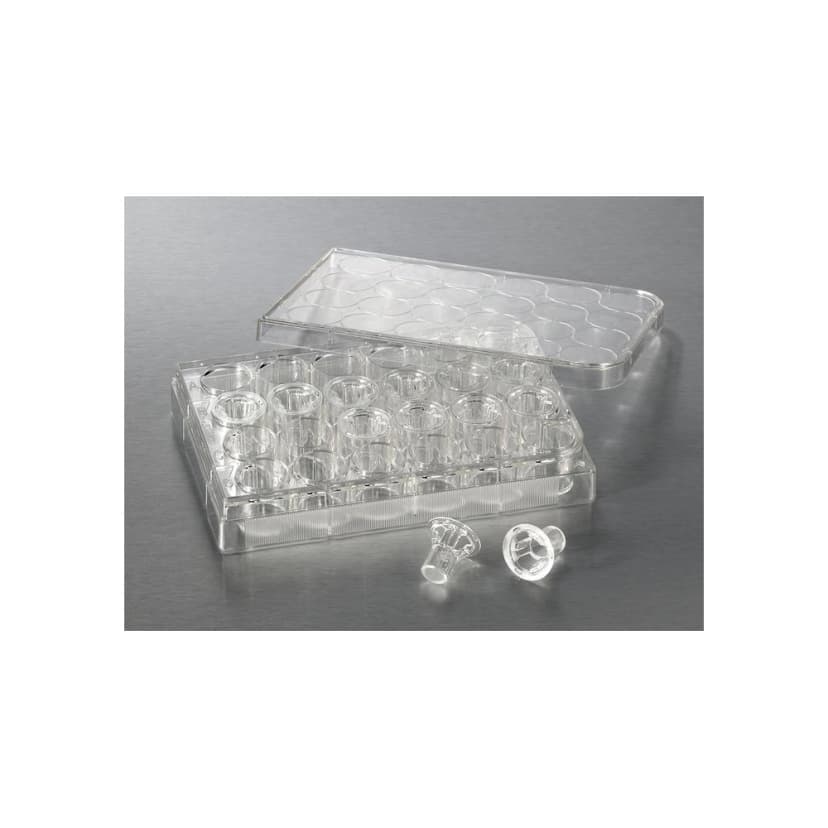 Costar 6.5mm Transwell Permeable Support with 8.0m Pore Polycarbonate (PC) Membrane, Sterile, 12/Pack, 48/Case