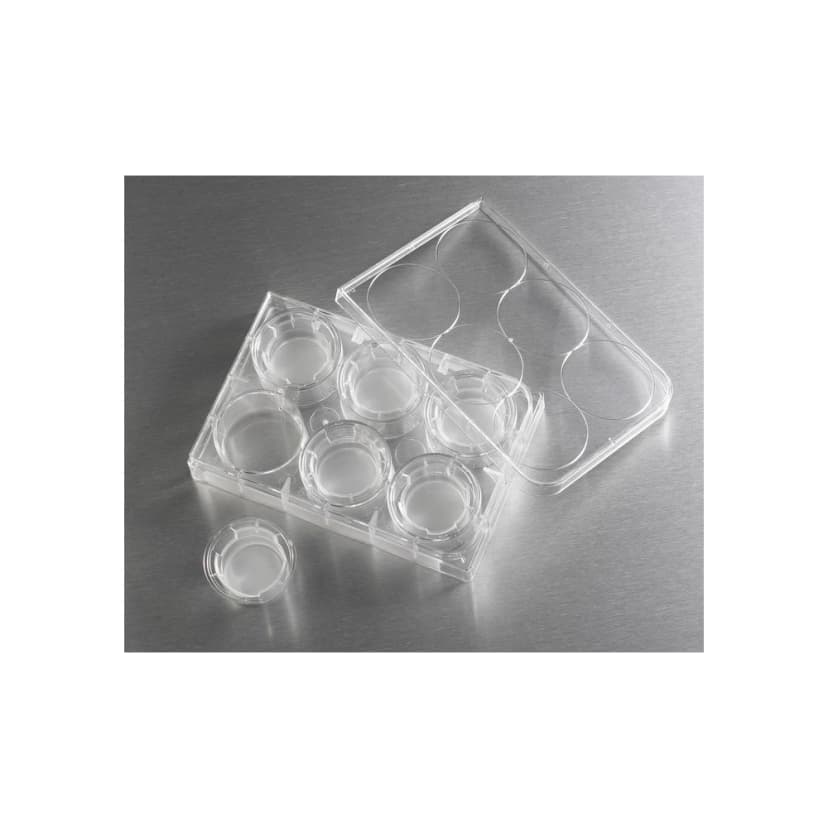 Costar 24mm Transwell Permeable Support with 0.4m Pore Polyester (PET) Membrane, Sterile, 6/Pack, 24/Case