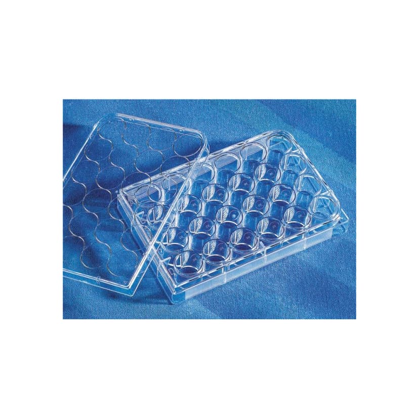 Costar 24 Well Clear Flat Bottom, Ultra Low Attachment Multiple Well Plates with Lid, Sterile, Individually Wrapped, 24/Case