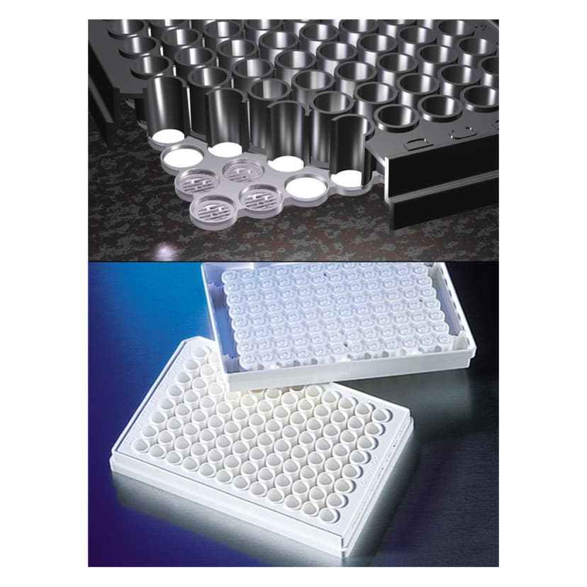 FiltrEX 96 Well Filter Plates with 0.2m PVDF Membrane, Nonsterile