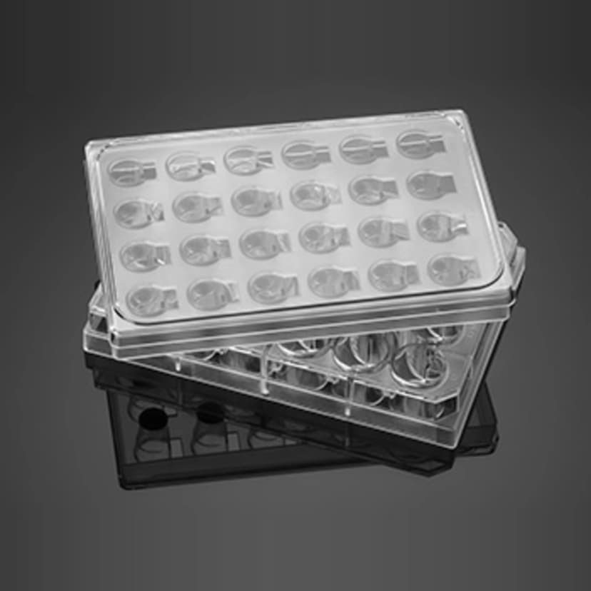 Falcon 24 Well Insert System with 1.0µm Pore Polyester (PET) Membrane, with Feeder Tray and Lid, 5/Pack, 5/Case