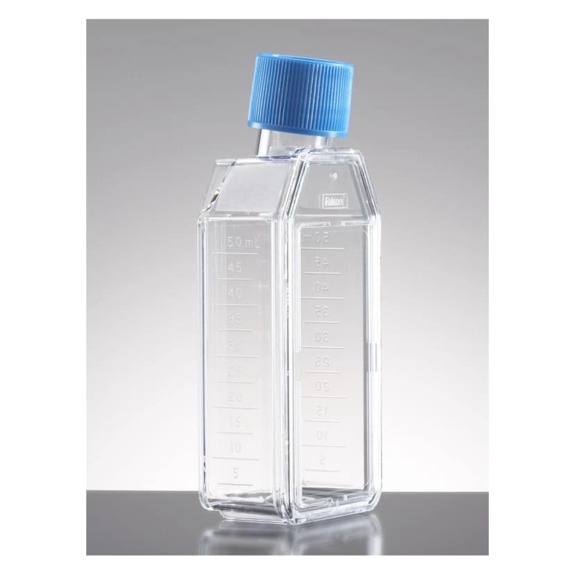 Falcon® 25cm² Rectangular Canted Neck Cell Culture Flask with Blue Plug Seal Screw Cap