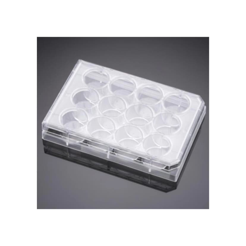 Falcon® 12 Well Clear Flat Bottom, Tissue Culture-Treated Multiwell Cell Culture Plate, with Lid, Non-Pyrogenic, Sterile, Individually Wrapped, 50/Case