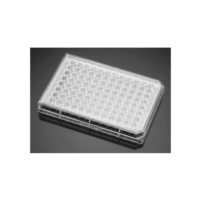 Falcon® 96 Well Cell Culture Plate, Clear, Round Bottom, Tissue Culture Treated, Sterile