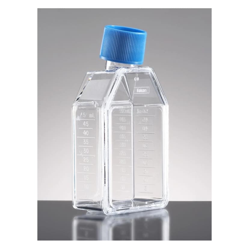 Falcon® 25cm² Rectangular Canted Neck Cell Culture Flask with Plug Seal Screw Cap