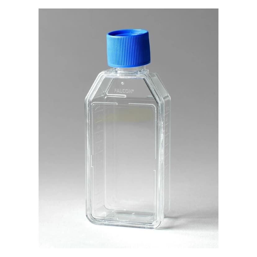 Falcon® 25cm² Rectangular Canted Neck Cell Culture Flask with Vented Cap