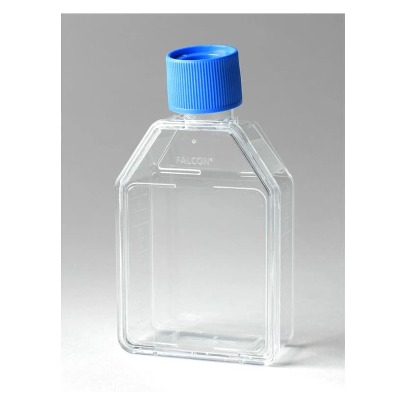 Falcon® 25cm² Rectangular Canted Neck Cell Culture Flask with Vented Cap