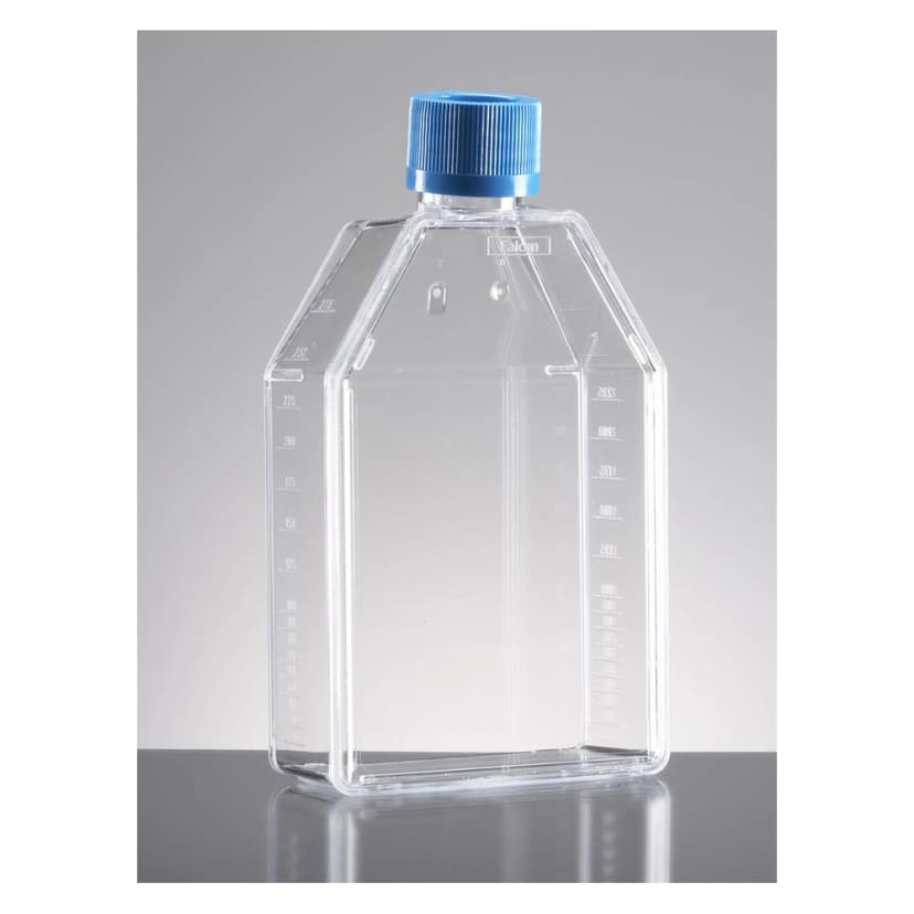 Falcon® 75cm² Rectangular Canted Neck Cell Culture Flask with Vented Cap