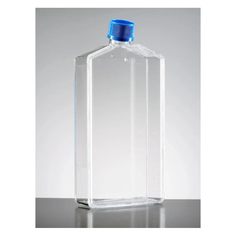 Falcon® 225cm² Rectangular Canted Neck Cell Culture Flask with Vented Cap
