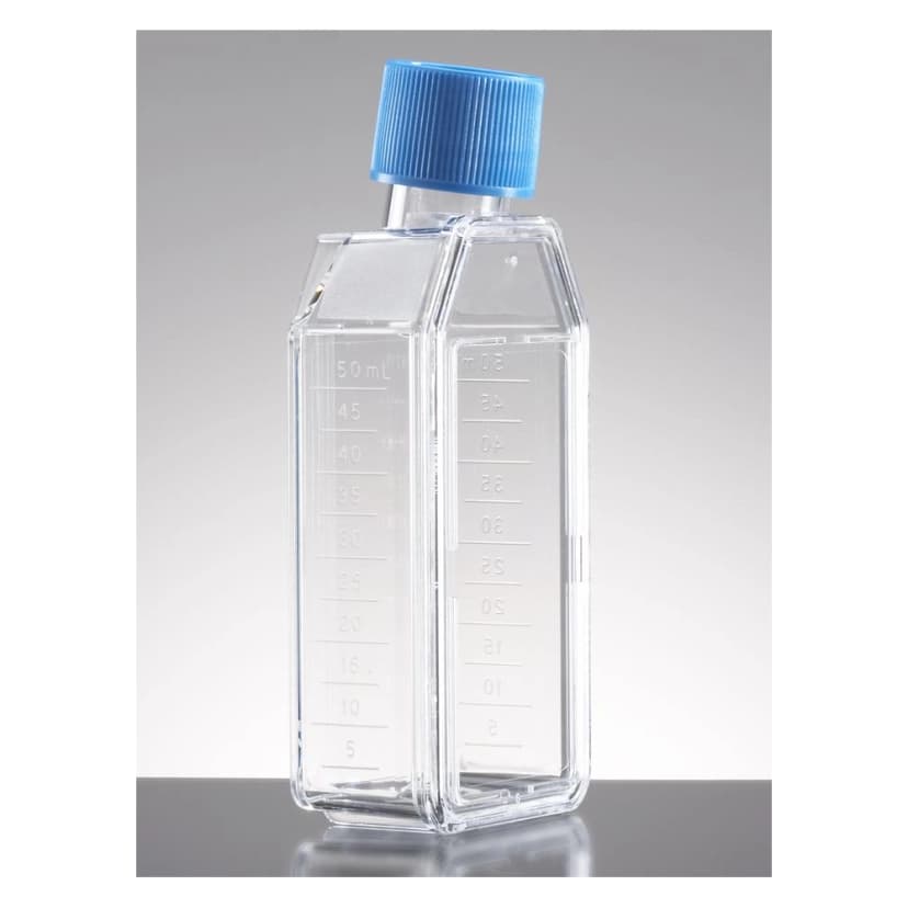 Corning Primaria™ 25cm² Rectangular Canted Neck Cell Culture Flask with Vented Cap