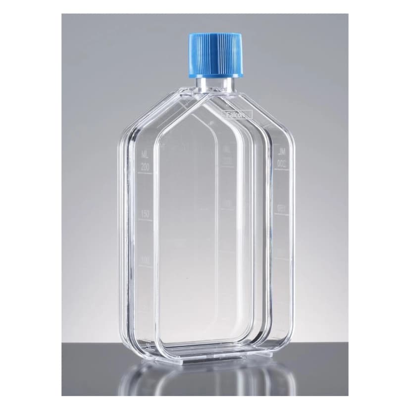 Corning Primaria™ 75cm² Rectangular Straight Neck Cell Culture Flask with Vented Cap