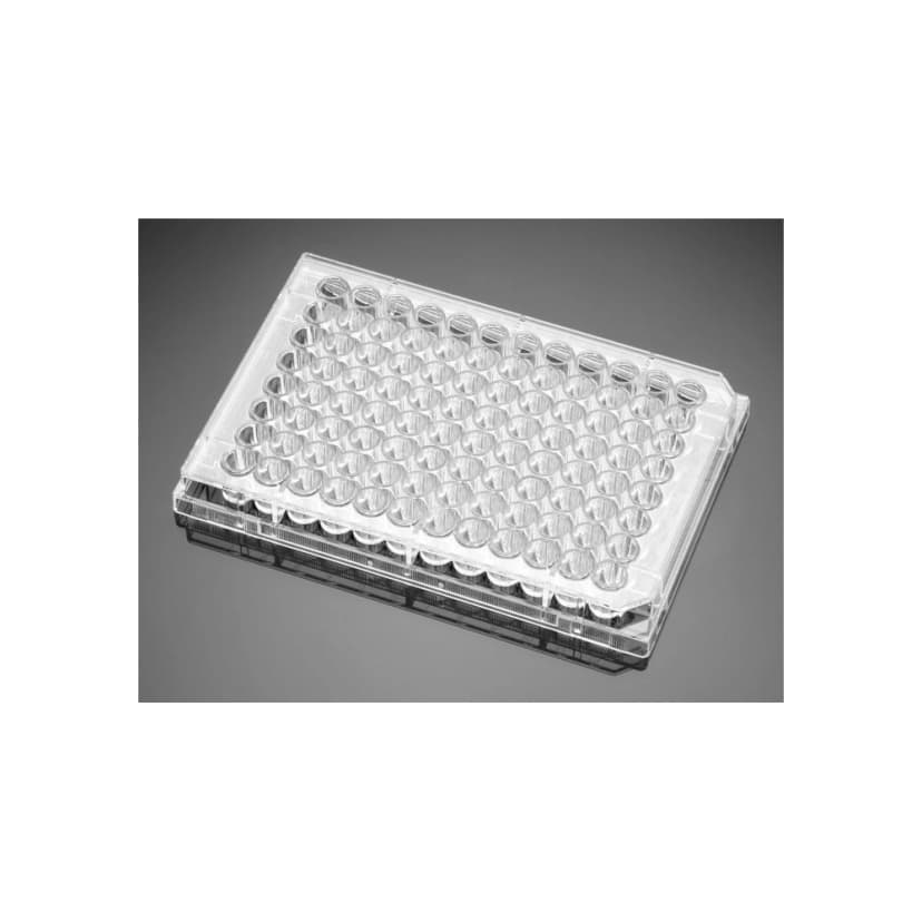Corning Primaria™ 96 Well Clear Flat Bottom Microtest Microplate, with Lid, Sterile, 1/Pack,50/Case