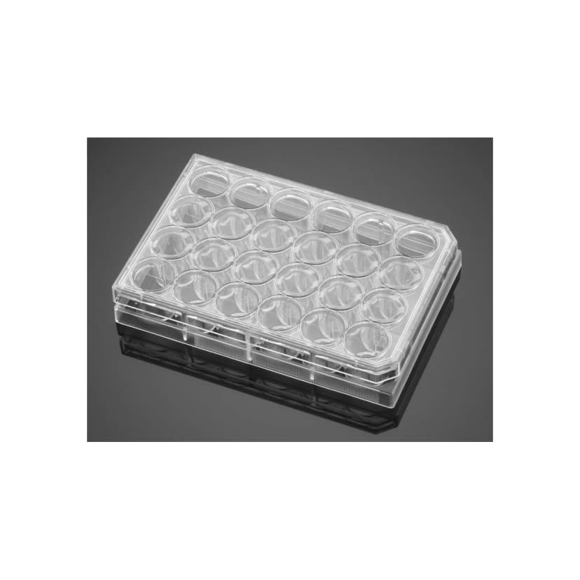 Falcon® 24 Well Clear Flat Bottom, Tissue Culture-Treated Multiwell Cell Culture Plate with Lid, Sterile, Ready-Stack Tray, 10/Pack, 60/Case