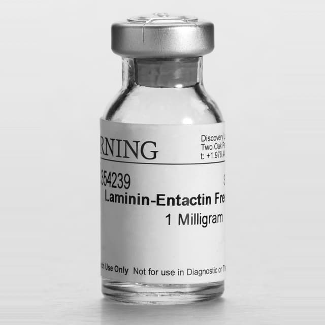 Corning Ultrapure Laminin, Mouse, 1mg