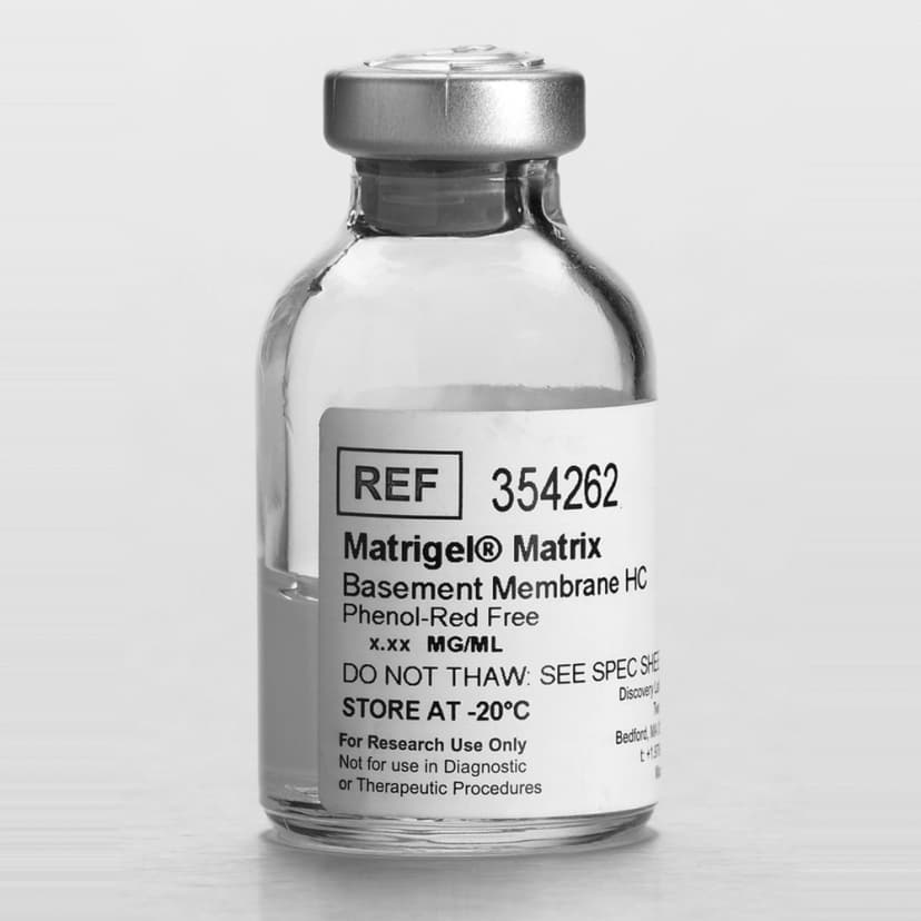 Corning Matrigel Matrix High Concentration (HC), Phenol-Red Free *LDEV-Free, 10mL
