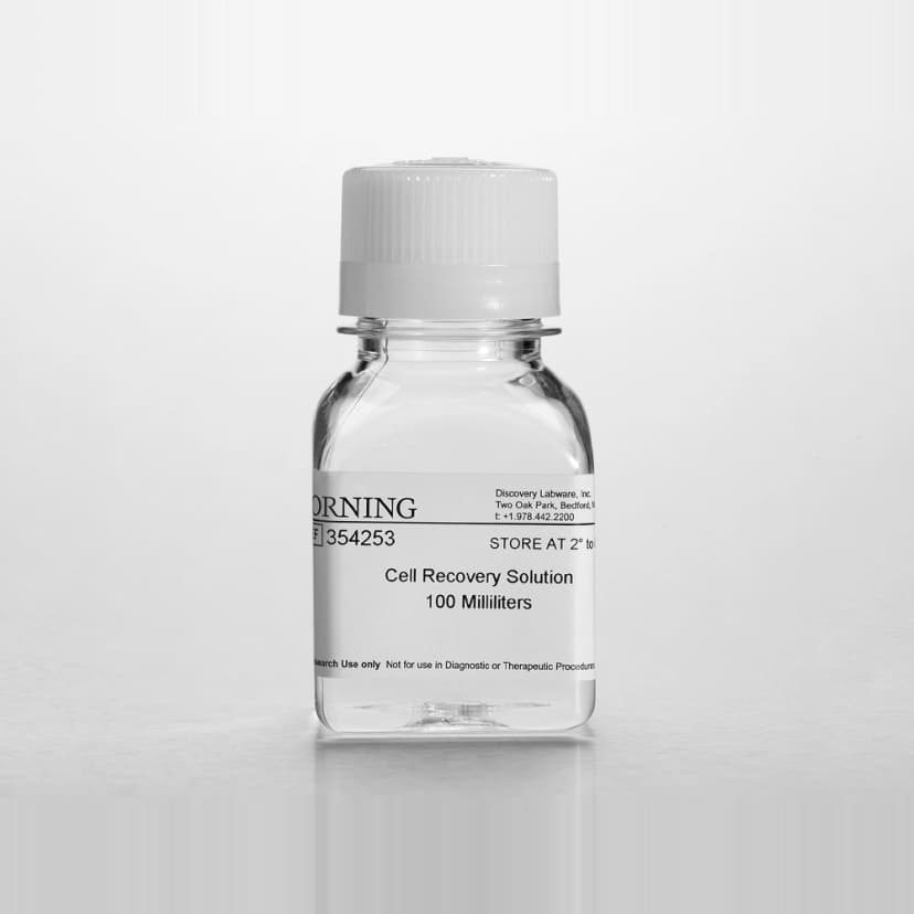 Cell Recovery Solution 500 mL