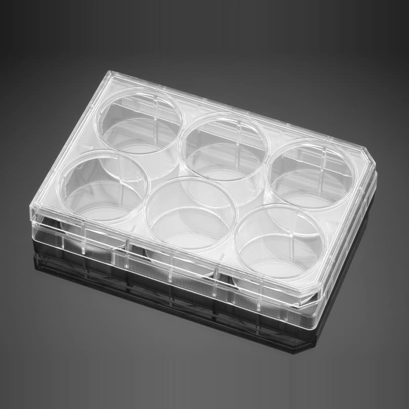 Corning BioCoat Collagen I 6 Well Clear Flat Bottom TC-Treated Multiwell Plate, with Lid, 5/Pack, 5/Case
